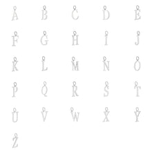 Afbeelding in Gallery-weergave laden, Bedel Q zilver