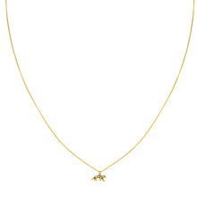 Afbeelding in Gallery-weergave laden, Ketting lucky leopard goud